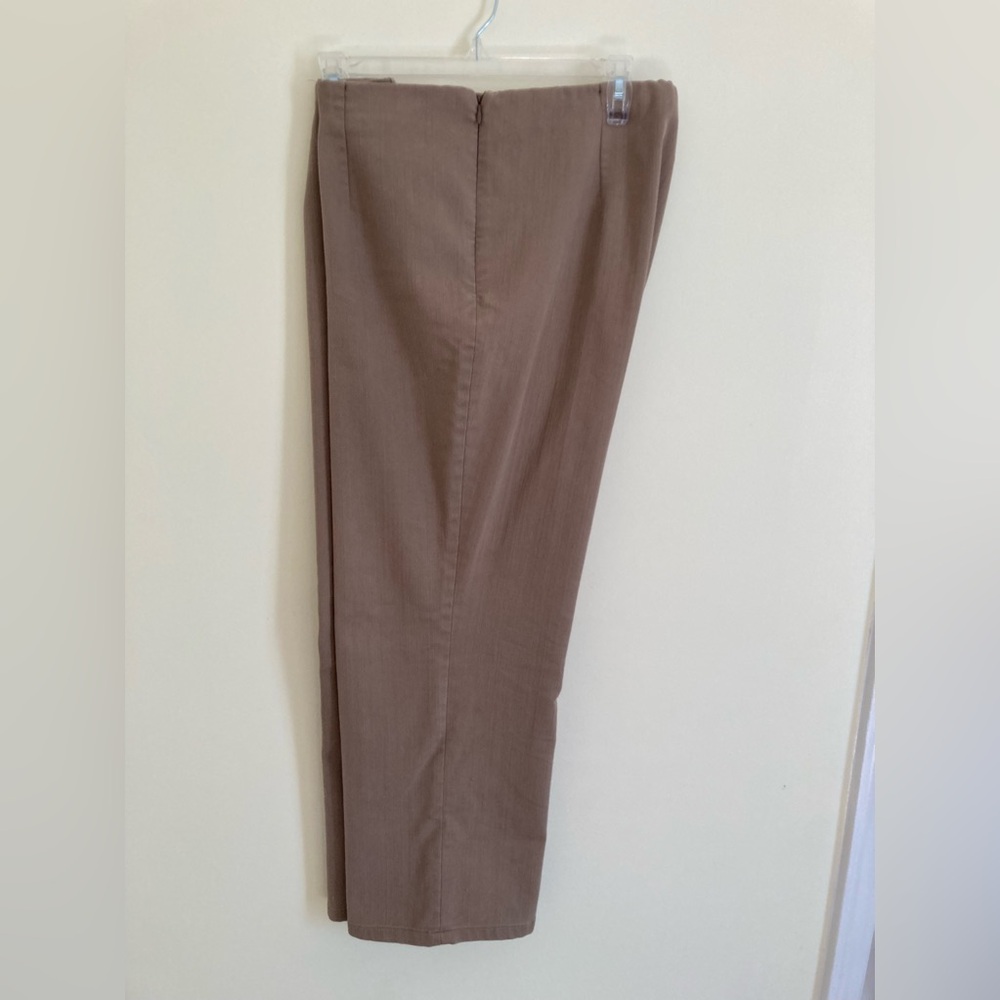 Westbound Petites Tan color Skinny Pants size 16P Short with Tummy Control Panel